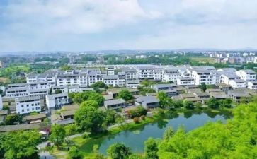 到村工作大学生2024年工作总结6篇