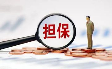 省担保公司工作总结参考5篇