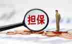 省担保公司工作总结参考5篇