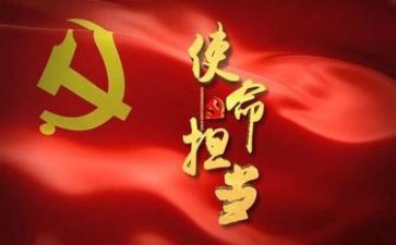 局党组活动总结6篇