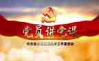 2024年党委述职报告精选5篇