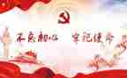 2024年党委述职报告推荐5篇