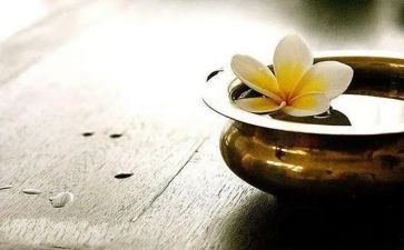 得与失材料作文精选7篇