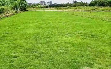 关于地球演讲稿5篇