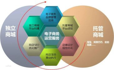微电商月总结模板5篇