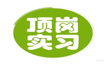 顶岗实习总结5篇