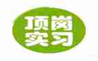 顶岗实习总结5篇