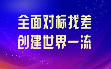 企业对标工作总结范文通用8篇