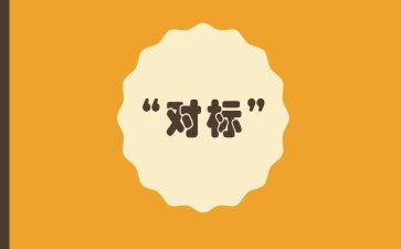 财务对标工作总结8篇
