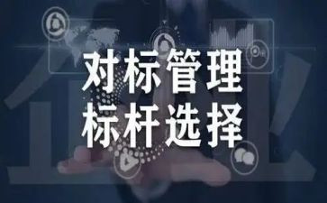 对标主要内容心得体会5篇