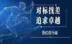 小学对标对表活动方案7篇