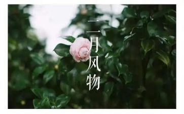 二月纸心得体会5篇
