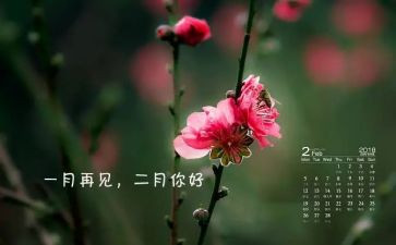 幼儿园大班十二月工作总结7篇