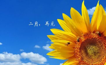 小班十二月工作总结7篇