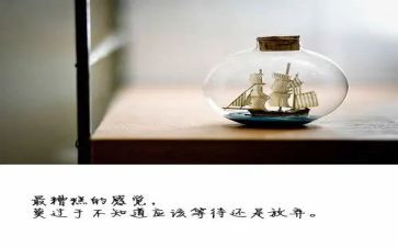 与放飞梦想有关的演讲稿5篇