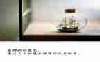与放飞梦想有关的演讲稿5篇