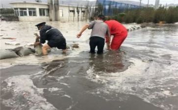 合防汛办工作总结通用7篇