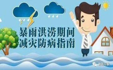 防汛办个人总结8篇