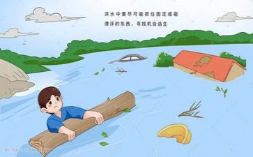合防汛办工作总结模板7篇