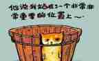 月工作总结及反思5篇