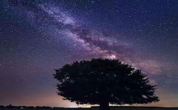 春水繁星读后感7篇