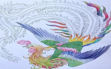 凤凰琴观后感500字5篇