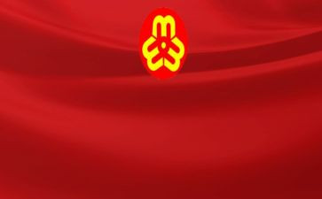 社区妇联工作总结计划5篇