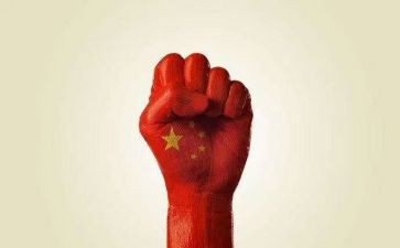 为中华民族谋复兴心得体会5篇