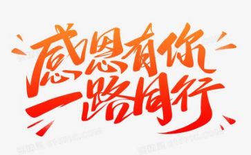 感恩日活动总结精选8篇