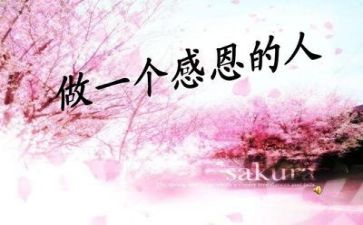 感恩2024年演讲稿最新5篇