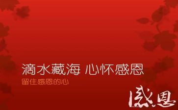 感恩日活动总结最新5篇