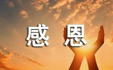 感恩的活动总结模板7篇