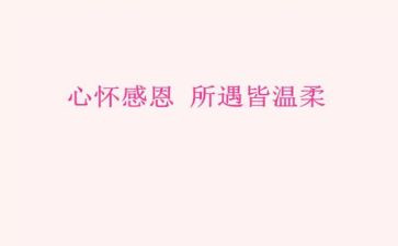 600字感恩演讲稿8篇