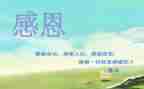 演讲稿感恩励志300精选8篇