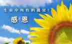 我感谢...的作文精选7篇