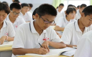 高一语文组工作总结优秀8篇