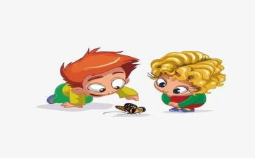 观察类科学活动教案6篇