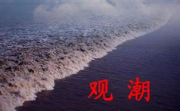 观潮读后感作文300字模板6篇