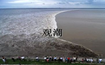 观潮讲课教案8篇