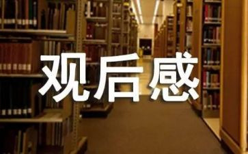 胜利观后感5篇