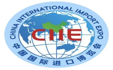 国际日活动总结6篇