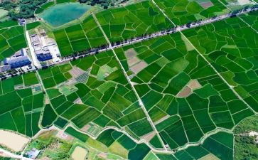 国土所2023工作总结7篇