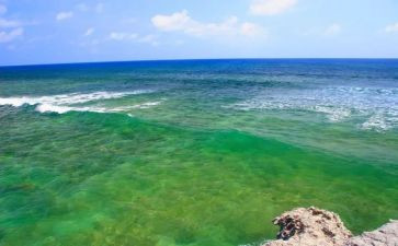 海读后感600字精选6篇