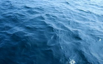 海归教师心得体会通用8篇