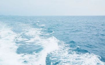 海读后感600字优秀8篇