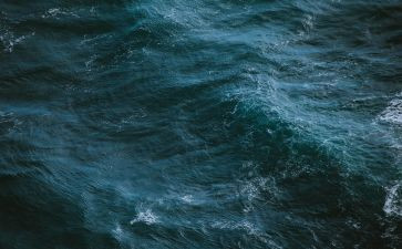 《海燕》教案7篇