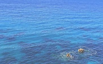 海外博后申请书6篇