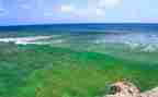海读后感600字精选6篇