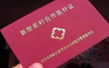 镇合疗工作总结推荐6篇