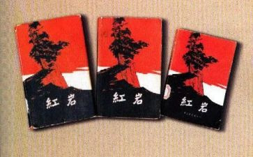 读《红岩》的心得体会8篇